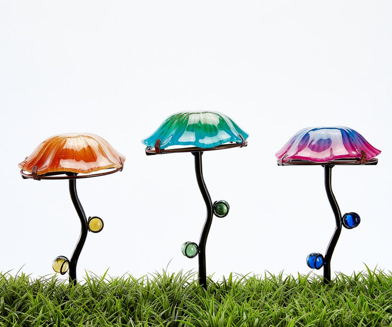 Glow in the Dark Mushrooms